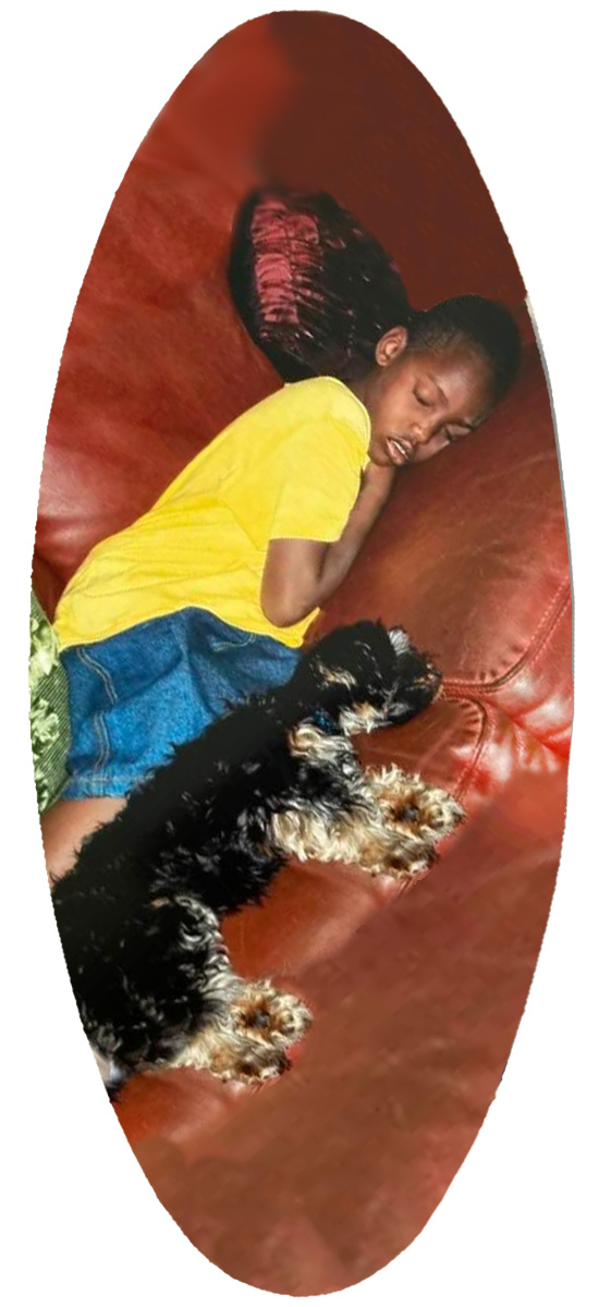 A18 Bells FH Dog PROOF